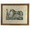 Luigi Giarré, Breeds of Horses Known in Europe, 1822, Lithographs, Framed, Set of 9 9