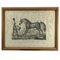 Luigi Giarré, Breeds of Horses Known in Europe, 1822, Lithographs, Framed, Set of 9, Image 9