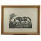 Luigi Giarré, Breeds of Horses Known in Europe, 1822, Lithographs, Framed, Set of 9, Image 2