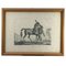 Luigi Giarré, Breeds of Horses Known in Europe, 1822, Lithographies, Encadrées, Set de 9 10