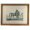 Luigi Giarré, Breeds of Horses Known in Europe, 1822, Lithographs, Framed, Set of 9 10