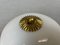 Small White Opaline Glass and Brass Flush Mount, 1970s 5