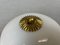 Small White Opaline Glass and Brass Flush Mount, 1970s, Image 5