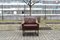 Leather Lounge Chair by Rudolf Glatzel for Kill International, 1960s 9