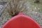 Silla vintage de cuero en rojo cereza, Imagen 17