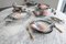 Italienisches Vintage Keramik Fischservice von R. Blanche, 1960er, 16er Set 11
