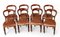 Victorian Balloon Back Dining Chairs in Mahogany, 1850s, Set of 8 1