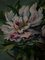 M. Marrois, Nature Morte Bouquet de Fleurs, Huile sur Toile, Encadrée 3