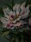 M. Marrois, Still Life Bouquet of Flowers, Oil on Canvas, Framed 3