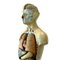 Modello anatomico in gesso del corpo umano di Paravia Materials Didactico Scientifico, Italia, inizio XX secolo, Immagine 6