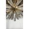 Murano Glass Oval Sputnik Chandelier by Simoeng 2