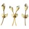 Mid-Century Modern Brass Wall Sconces attributed to Arredoluce, 1950s, Set of 3 1