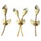 Mid-Century Modern Brass Wall Sconces attributed to Arredoluce, 1950s, Set of 3, Image 1