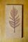 Ceramic Stamped Fern Decorative Object 6