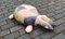 Swiss Leather Turtle Pouf, 1970s 6