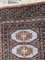 Vintage Pakistani Rug, 1970s, Image 9