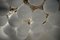 Weißer Kronleuchter aus Muranoglas & Messing, 2000er 5