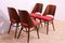 Mid-Century Dining Chairs by Radomír Hofman, 1960s, Set of 4, Image 12