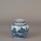 19th Century Chinese Porcelain Ginger Jar with Cobalt-Coloured Lid, Image 7