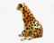 Vintage Italian Ceramic Cheetah Sculpture, 1960s 6