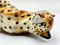 Vintage Italian Ceramic Cheetah Sculpture, 1960s 9