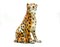 Vintage Italian Ceramic Cheetah Sculpture, 1960s, Image 1