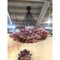 Large Scenographic Ametista Murano Glass Chandelier by Simoeng, Image 2
