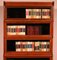 Bookcase in Oak from Wernicke Globe, Set of 4 11