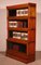 Bookcase in Oak from Wernicke Globe, Set of 4 5