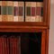 Libreria in quercia di Wernicke Globe, set di 4, Immagine 10