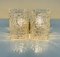 Glass Wall Lamps attributed to J.T. Kalmar, Austria, 1950s, Set of 2 5