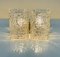 Glass Wall Lamps attributed to J.T. Kalmar, Austria, 1950s, Set of 2, Image 5