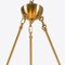 Small Lucca Sputnik Chandelier 4