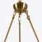 Small Lucca Sputnik Chandelier, Image 7