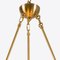 Large Lucca Sputnik Chandelier from Pure White Lines 5