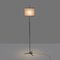 396 Floor Lamp by Tito Agnoli for Oluce, 1950s 10