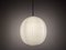 Large Bologna Hanging Lamp by Aloys Gangkofner for Peill & Putzler, 1960s, Image 21