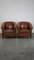 Vintage Sheep Leather Club Chairs, Set of 2, Image 1