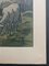 Henri Rivière, Summer Evening: Aspects of Nature, Lithographie 4