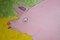 Steve Camps, Grande paesaggio ingenuo con maiale, gracchio e capanna, Acrilico su tavola, inizio XXI secolo, con cornice, Immagine 7