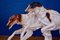 Borzoi Russian Greyhound Racing in Porcelain, 1930s 4