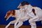 Borzoi Russian Greyhound Racing in Porcelain, 1930s, Image 4