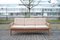 Mid-Century Antimott Sofa aus Eiche & Wolle von Walter Knoll / Wilhelm Knoll, 1960er 2