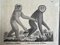 Der Gibbon-Affe, 1831, Original-Lithographie, gerahmt 6