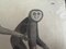 The Gibbon Monkey, 1831, Litografia originale, Incorniciato, Immagine 12