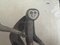 The Gibbon Monkey, 1831, Original Lithograph, Framed 12