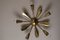 Mid-Century Brass Sputnik Ceiling Light, 1950s 5