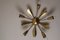 Mid-Century Brass Sputnik Ceiling Light, 1950s 4