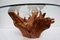 Mid-Century Teak Tree Root Coffee Table with Beveled Glass Top, Image 4