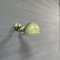 Vespa Green Jielde Wall Lamp, 1950s, Image 10